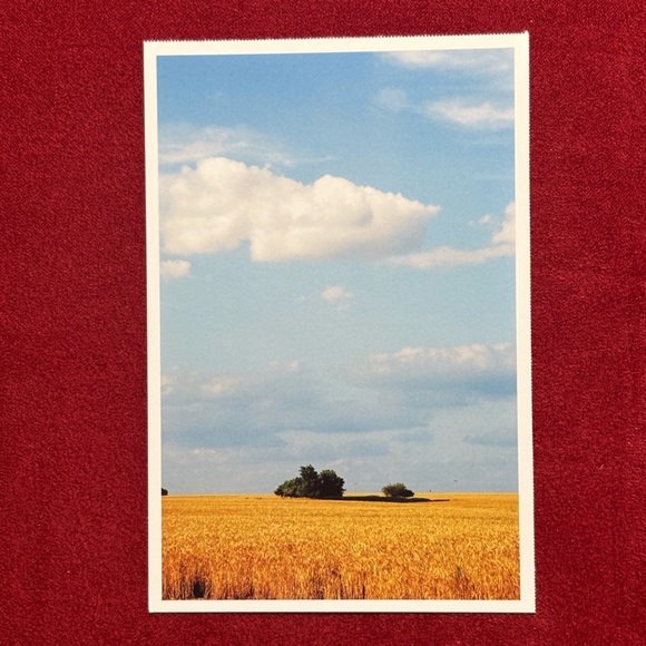 Vintage Oklahoma Scenic Postcards, 6 Unused - Picture 5 of 14